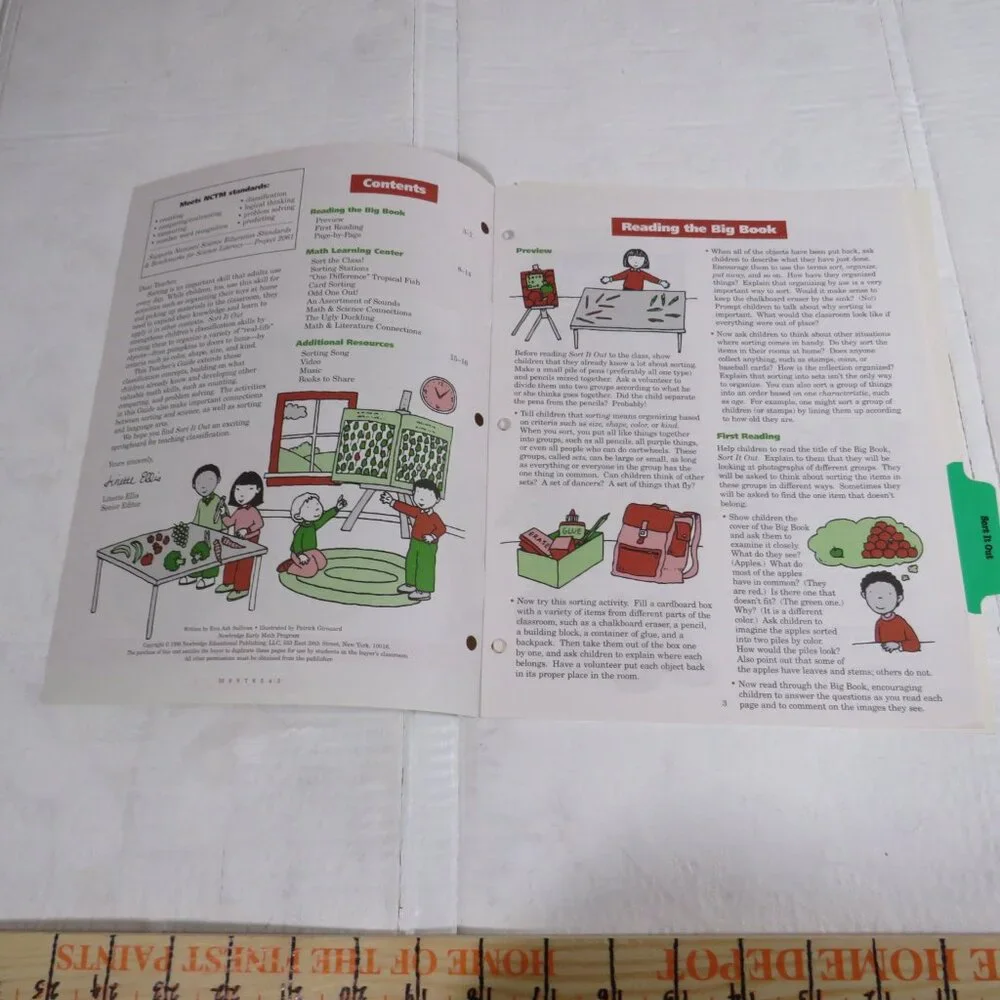Sort It Out BIG BOOK (almost 2 feet tall) with teacher pages CLASSROOM SIZE